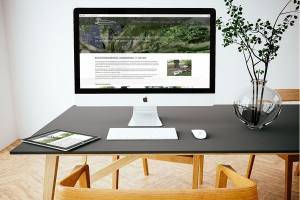 wordpress website boomontzorging