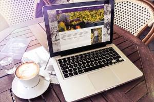 wordpress website Terre des Dames