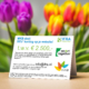 MKB-deal: vraag de voucher t.w.v. € 2.500,- aan voor aanpassingen aan je website!